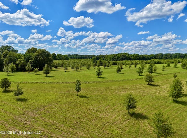 0014 Windermere Boulevard, Madison, MS 39110
