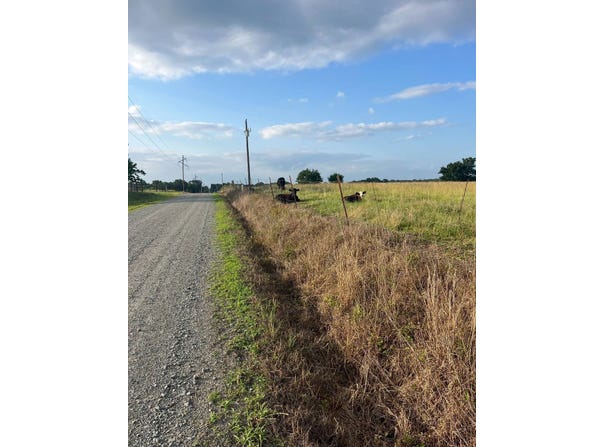 Tract 24  Waymire Road, Howe, OK 74940