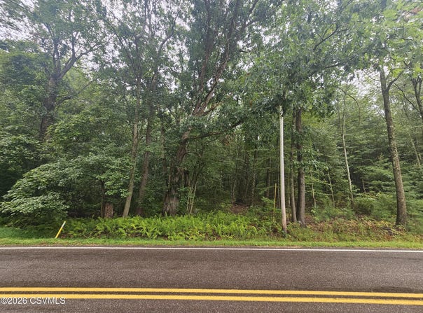 SLOCUM Road, Wapwallopen, PA 18660