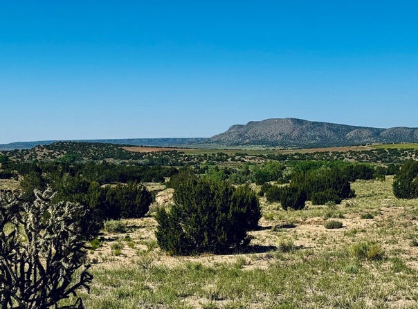 43 Camino Libre, Galisteo, NM 87540