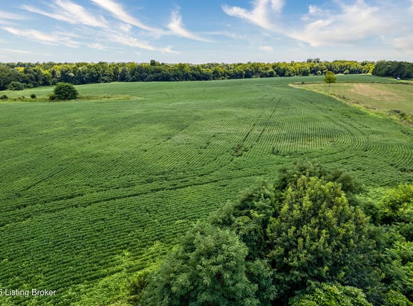 Tr 5 Cropper Rd, Pleasureville, KY 40057