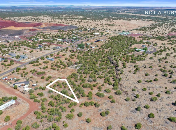 8795 LUANA Drive, Show Low, AZ 85901