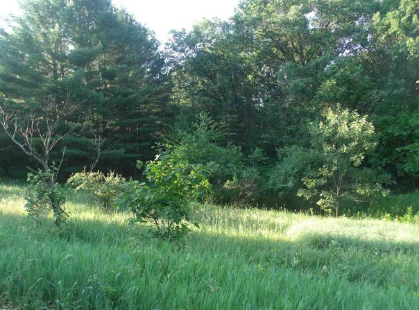 L4 Oak Street, Montello, WI 53949