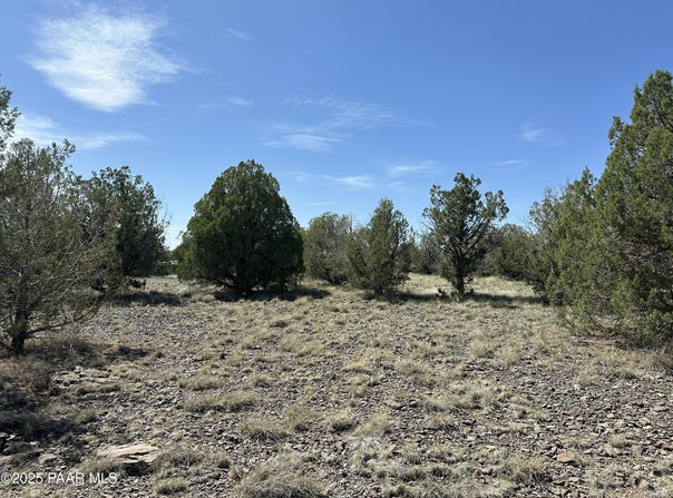 124 Dry Gulch, Seligman, AZ 86337