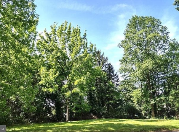 315 CALLENDER LANE, WALLINGFORD, PA 19086