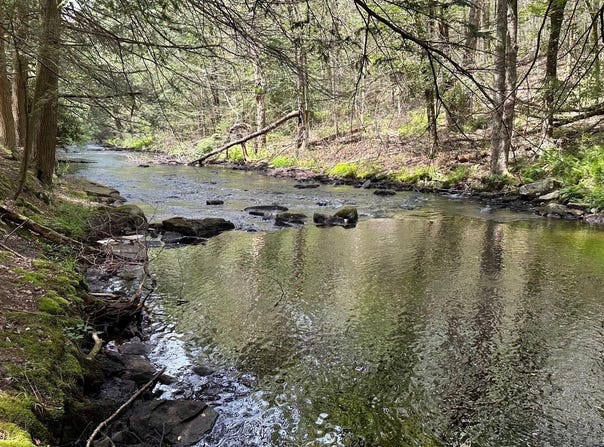 Lehigh River Ct, Gouldsboro, PA 18424