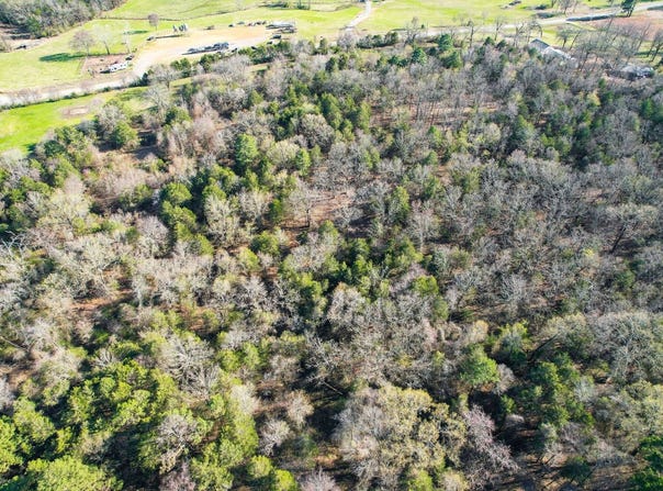 5100  Oak Bend Road, Ozark, AR 72949