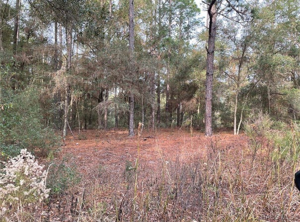 SW 152nd Avenue lot: 9, Ocala, FL 34481
