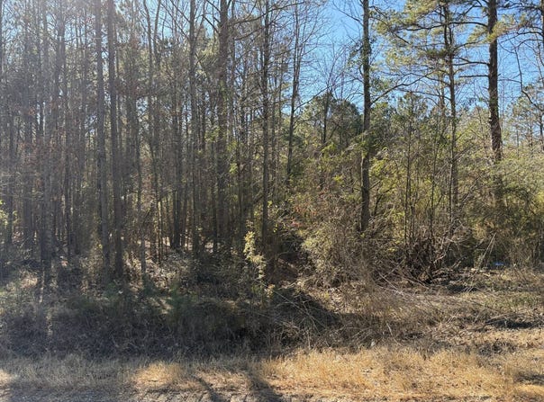 00 N. Long Ave, Taylor, AR 71861