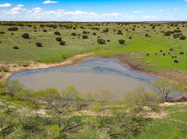 4121 County Road 2719, Out of Area, TX 76525