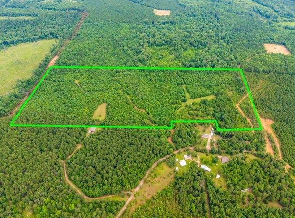 3536 & Tbd CR 1579, Avinger, TX 75630