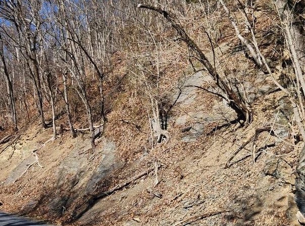 0 MILLNER ROAD, STRASBURG, VA 22657