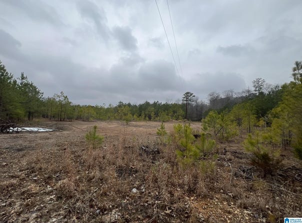 0 CLEARBROOK LANE, CALERA, AL 35040