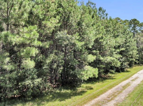 0 Shadow Pond Road, Johns Island, SC 29455
