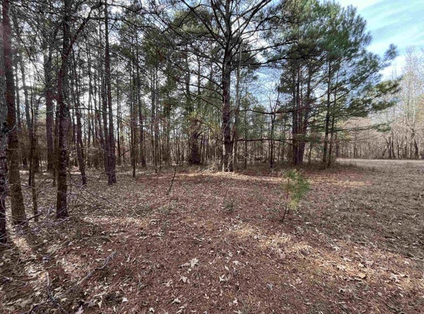 Tract 3 Venus Rd, White Oak, TX 75693