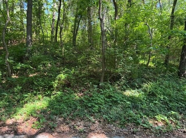 6 Lilac Lane, Grand Beach, MI 49117