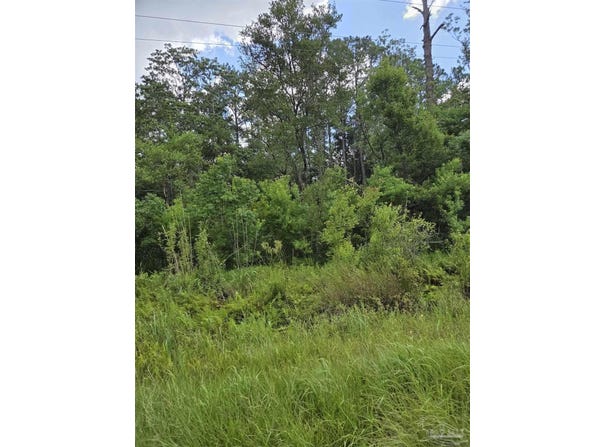 11210 County Rd 95, Elberta, AL 36530