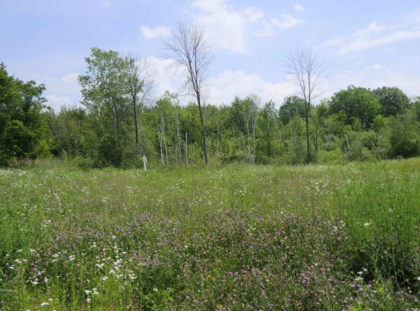 96 Ellsworth Drive, Swanton, VT 05488