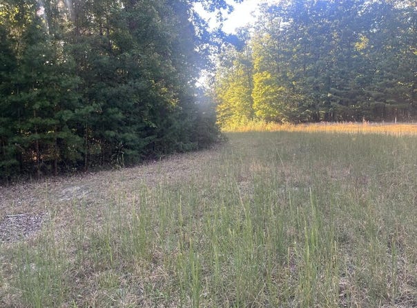 Cougar Drive, Spencer, TN 38585