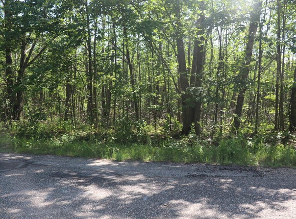 Laming Circle, Elmira, MI 49730