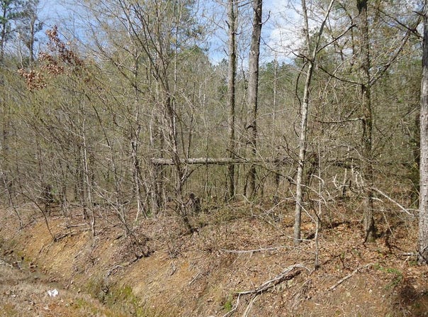 551 GRAYTON ROAD lot: 0, OHATCHEE, AL 36206