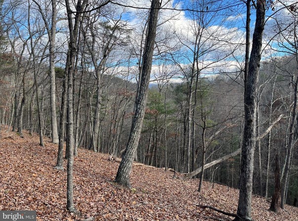 CARDINAL VIEW ROAD, PAW PAW, WV 25434