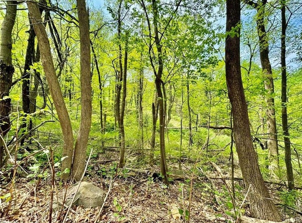 2580 Honeysuckle Road, BETHLEHEM, PA 18015