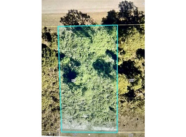 1114 Colonial Street E, Lehigh Acres, FL 33974