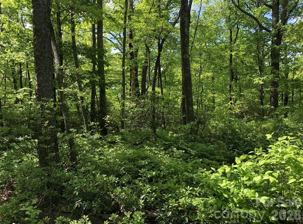 Millard Crossing, Hendersonville, NC 28792