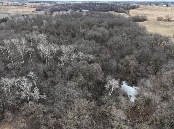 875 167th Avenue, Somerset, WI 54017
