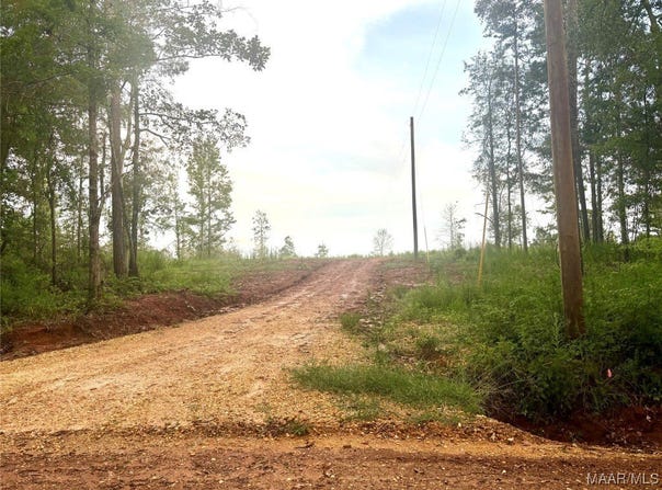 179 Tyson Lane, Greenville, AL 36037