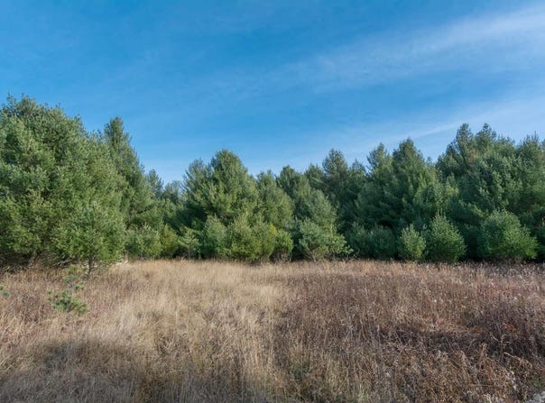 0000 E BELLINGER ROAD, CEDAR, MI 49621