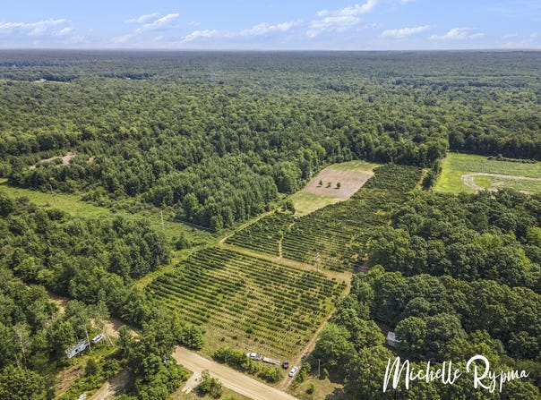39 Acres 55th Street, Pullman, MI 49450