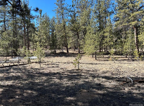 147 Haystack Road, Hartsel, CO 80449