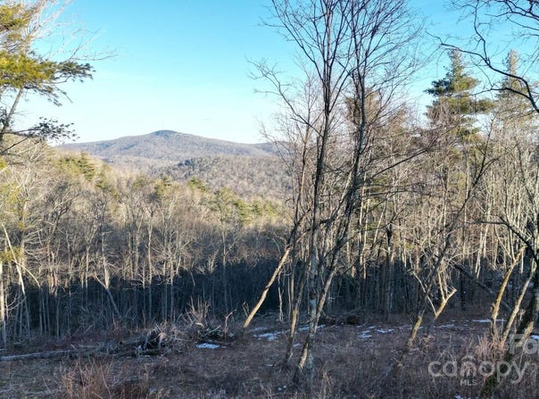 Linhigh Drive lot: 73, Newland, NC 28657