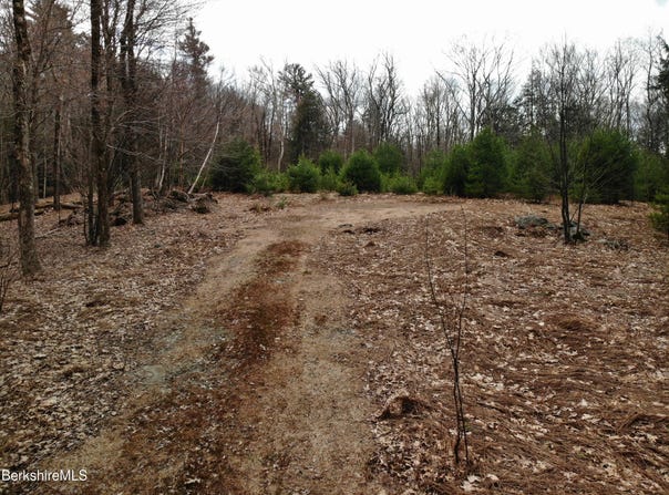 10 Mountain Rd, Mt Washington, MA 01258