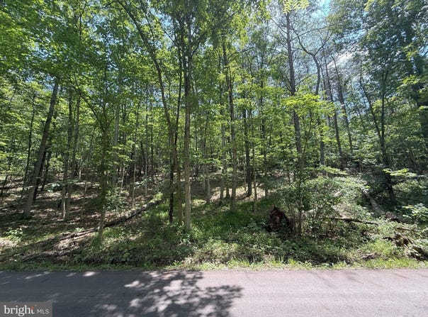 14.5 AC PCL A- OFF VIRGINIA LINE RD, BERKELEY SPRINGS, WV 25411