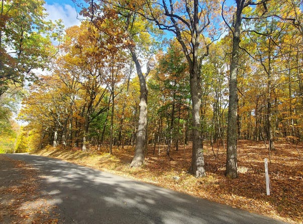 L25 Fischer Road, Kinderhook, NY 12106