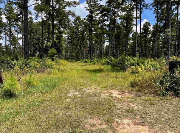 Solomon Dairy Road, Quincy, FL 32351