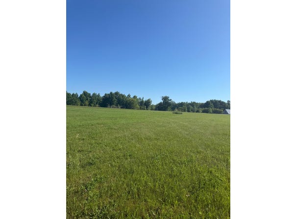 Hummingbird Lane SW, Alexandria, MN 56308