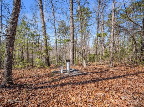 Forester Lane unit: 21, Mill Spring, NC 28756