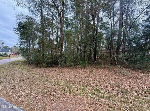 9560 Op La Way, Diamondhead, MS 39525