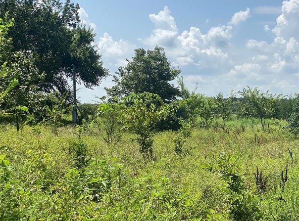 921 County Road 2285, Telephone, TX 75488