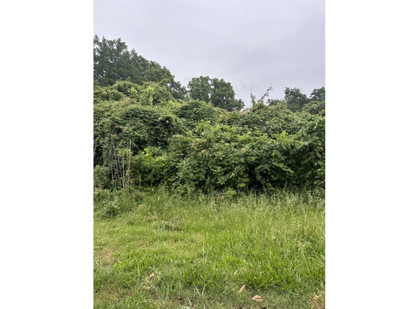 635 PURDY Rd, Selmer, TN 38375-1838