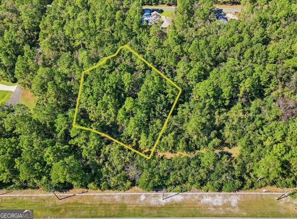 111 Canoe Run, Woodbine, GA 31569