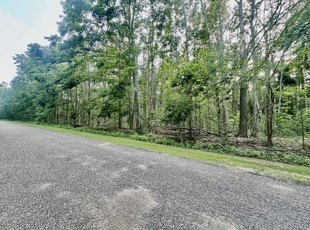 Dunson Lane lot: 46&47, Elmira, MI 49730