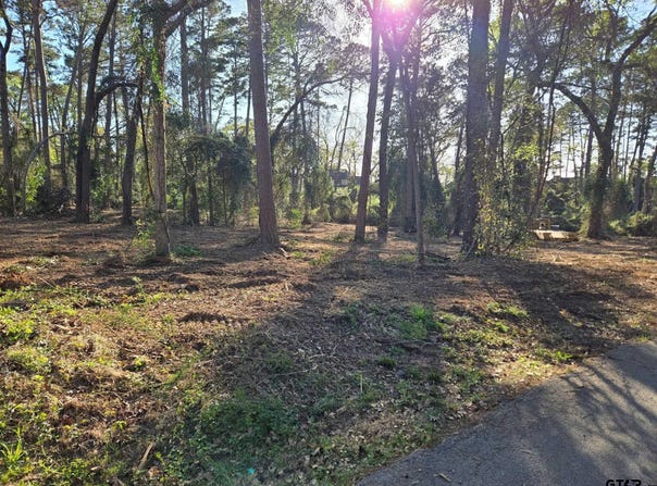 Hickory Lane lot: 5, Bullard, TX 75757