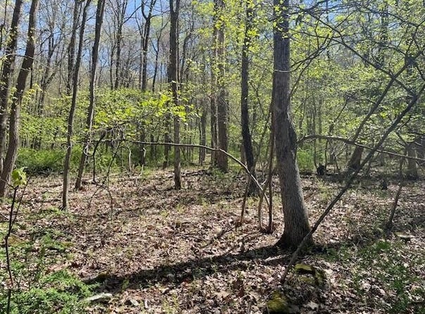 Lot 23 Hemlock Road, Kunkletown, PA 18058