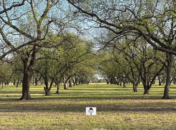 CR 461, De Leon, TX 76444