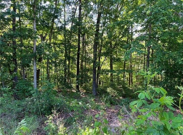Lot 14 St Austell  CIR, Bella Vista, AR 72714